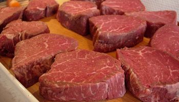 Buenos Aires: la exportación de carne significó 336 millones de dólares en el primer trimestre