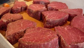 La exportación de carne vacuna en el primer cuatrimestre fue la mejor en nueve años