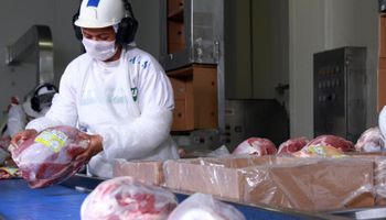 Carne bovina: exportações em julho atingem novo recorde, mas preços continuam menores