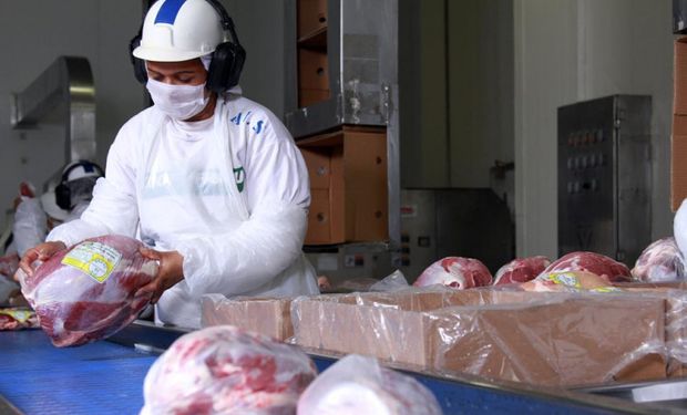 Carne bovina: exportações em julho atingem novo recorde, mas preços continuam menores