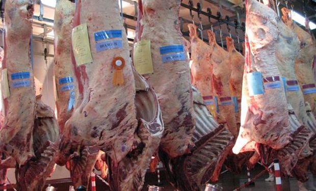 Exportación de carne argentina.
