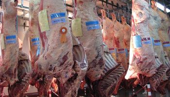 Exportaciones de carne bovina siguen en crecimiento