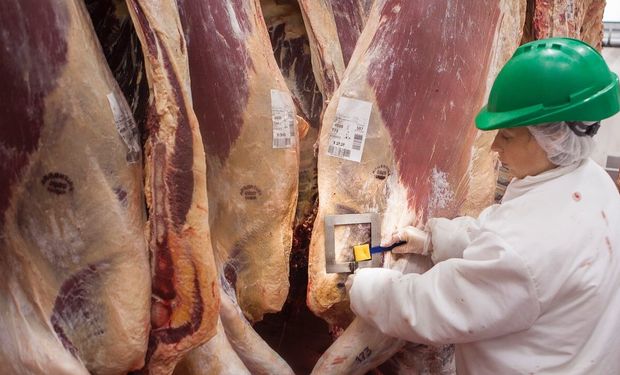 Señal de alerta: habrá menos carne para las elecciones y podría haber un importante aumento de precios