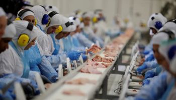 Rússia e Belarus abrem cota para carne de frango do Brasil