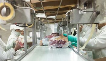 La exportación de carne, bajo la mira: Aduana suspendió por 45 días a un importante frigorífico