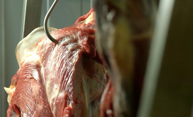 Presión sobre la carne: la maniobra que motivó la suspensión de Azul Natural Beef del registro de importadores y exportadores