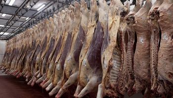 China suspendió la importación de carne de plantas de Brasil y de otros países por coronavirus