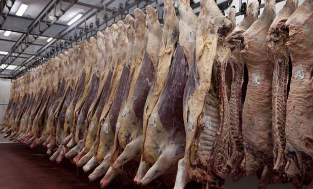 China suspendió la importación de carne de plantas de Brasil y de otros países por coronavirus