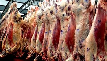 Carne: el Gobierno le pone fecha a los cortes a precios rebajados
