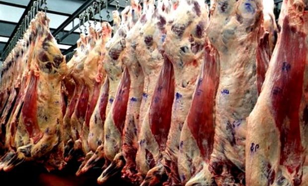 Carne: el Gobierno le pone fecha a los cortes a precios rebajados