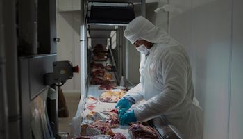 Habilitan la exportación de carne kosher con hueso a Israel