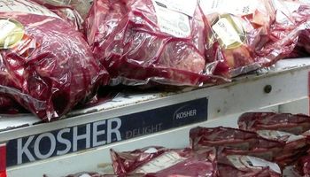 Exportación de carne: Israel recibe una excepción dentro de los siete cortes restringidos 