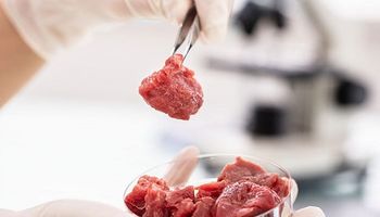 Carne cultivada em laboratórios é mesmo mais sustentável?