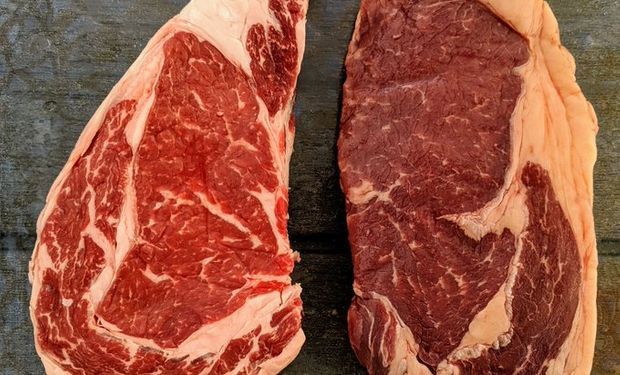 Por qué la carne de pastura tiene un color más oscuro y grasa de tonalidad mas amarilla