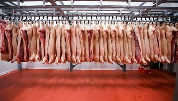 Funcionários passam mal após vazamento em frigorífico em GO