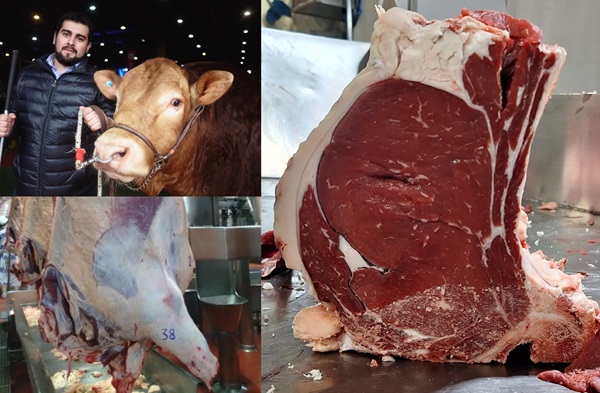 noticiaspuertosantacruz.com.ar - Imagen extraida de: https://news.agrofy.com.ar/noticia/210207/se-podra-ver-rural-gen-raza-francesa-que-produce-mas-carne-y-novedoso-estudio-que