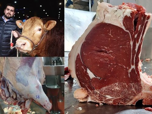 Se podrá ver en La Rural: el gen de la raza francesa que produce más carne y el novedoso estudio que hicieron para comprobarlo | Agrofy News