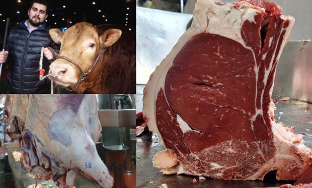 Se podrá ver en La Rural: el gen de la raza francesa que produce más carne y el novedoso estudio que hicieron para comprobarlo