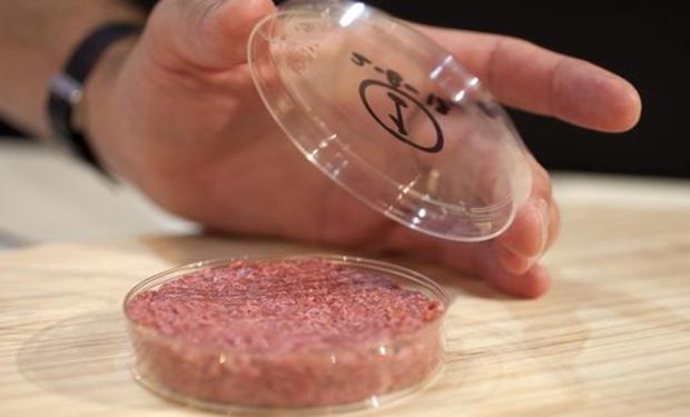 El mayor productor de proteína del mundo invierte U$S 100 millones en una empresa de carne de laboratorio