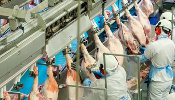 Brasil abre novo mercado para a carne suína na Ásia