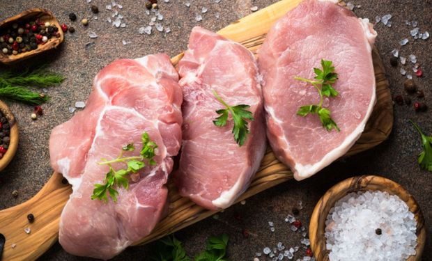 República Dominicana importa aproximadamente 120 toneladas de proteínas animais por ano