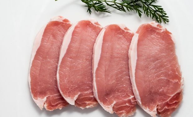 Cepea: carne suína recupera espaço frente à de frango pela primeira vez desde a gripe aviária