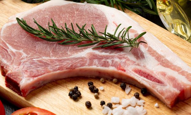 Preço da carne suína alcança maior vantagem sobre a bovina em quatro anos