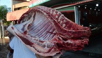 Remito Electrónico Cárnico: qué documentación se necesita para trasladar carne 