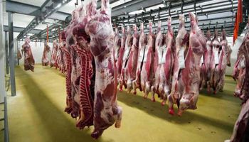 Los requisitos para ser un establecimiento certificado y exportar carne a China