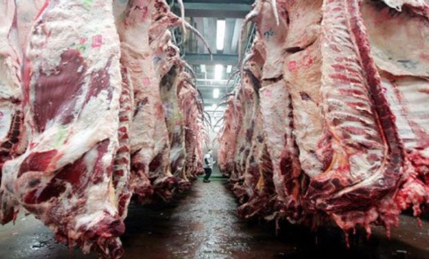 La exportación de carne cayó un 22%