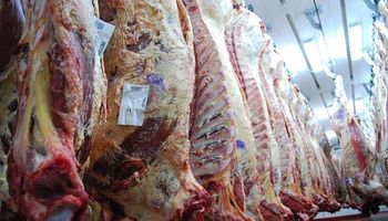 Los desafíos de la carne argentina ante un mercado exigente: gestión de ambiente, sanidad y calidad