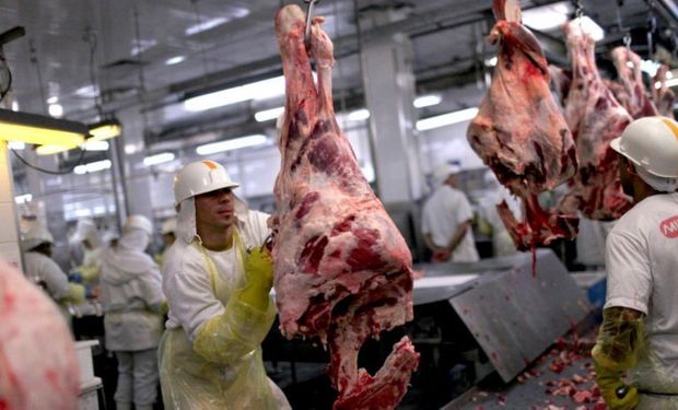 Con cupos, el Gobierno se prepara para dar fin al cierre de exportaciones de carne