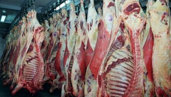 Habrá más carne en 2017