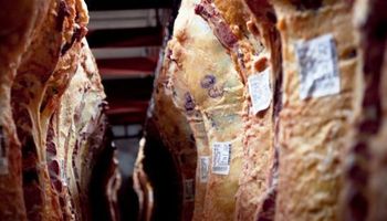 Las exportaciones de carne vacuna anotaron un nuevo récord histórico