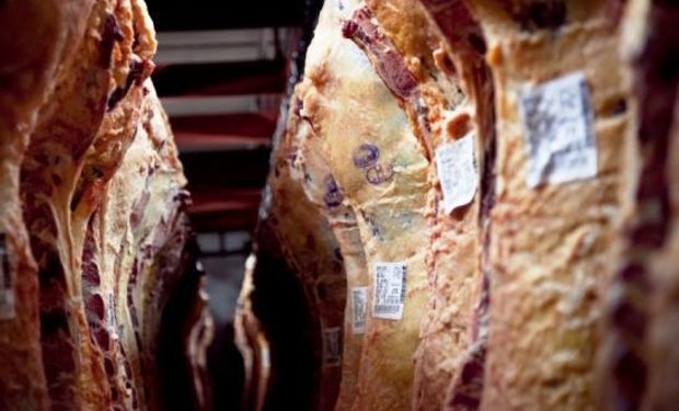 Un informe de la Fundación Mediterránea (IERAL), analiza los factores del récord en exportaciones de carne vacuna, el rol de China y lo que puede pasar en 2020.