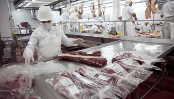 Efecto China: nuevas líneas de financiación para potenciar el sector cárnico
