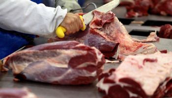 "Profunda preocupación" de frigoríficos exportadores por las detecciones de Covid-19 en carne a China