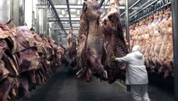 Carne: Argentina busca abrir a EE.UU.
