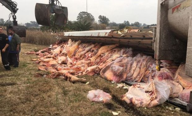 Video: volcó un camión que trasladaba 17 mil kilos de carne