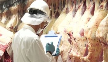 Prevén que crezcan 25% las exportaciones de carne bovina en 2018