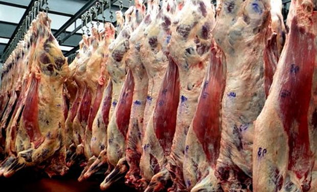 Argentina incrementaría la producción de carne.