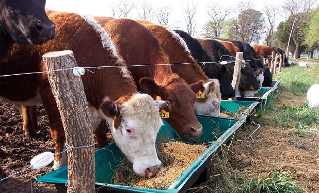 La Mesa de las carnes realizó un recorrido por los resultados obtenidos en 2017