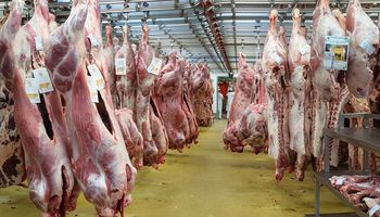 Argentina pasaría este año al séptimo lugar como exportador de carne vacuna