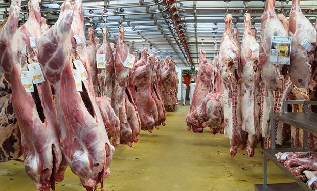 En 2005, la Argentina estaba tercera en el podio de exportadores de carne .