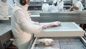 Las exportaciones de carne bovina crecieron 69,7%