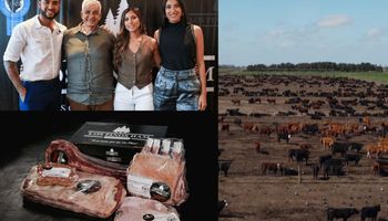 No sabían nada de campo, apostaron por la ganadería y ahora faenan unos 1000 animales por semana: cómo se produce la carne Angus certificada