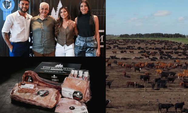 No sabían nada de campo, apostaron por la ganadería y ahora faenan unos 1000 animales por semana: cómo se produce la carne Angus certificada