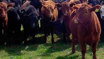 En La Rural presentan “acuerdo histórico” de la cadena de carnes