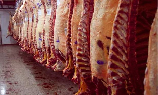 En cuanto cortes bovinos frescos argentinos, en el primer trimestre las exportaciones se ubicaron en 27.158 toneladas para descender un 20%.