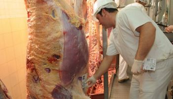 Carnes: proyectan un aumento en la producción y en la exportación